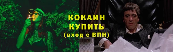 прущие крисы Бабаево