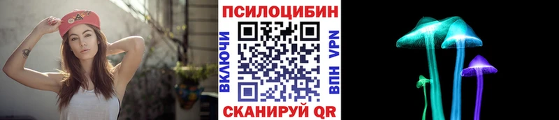 omg ссылки  Клинцы  маркетплейс наркотические препараты  наркошоп  Псилоцибиновые грибы Psilocybe 