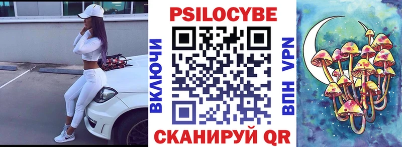 Псилоцибиновые грибы Psilocybe Клинцы